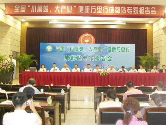 专题报道