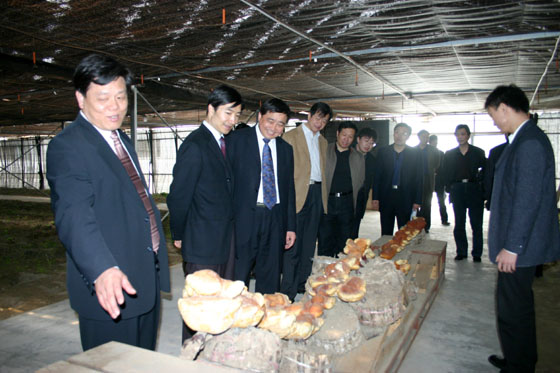 PA集团(中国区·PA代理·)·有限公司官网