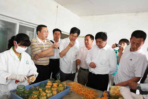 PA集团(中国区·PA代理·)·有限公司官网